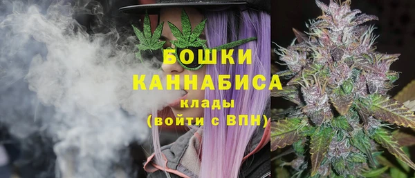спиды Белокуриха