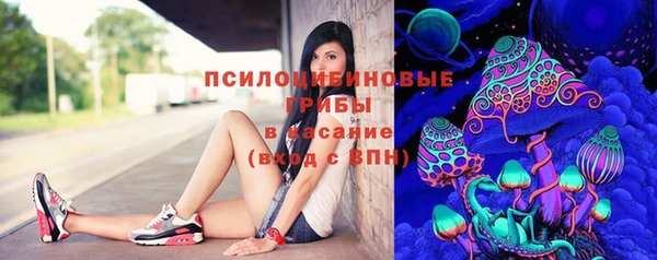 спайс Богородицк