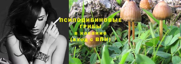 прущие крисы Беломорск