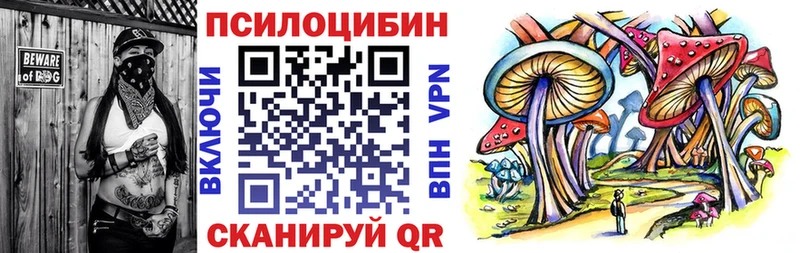 Псилоцибиновые грибы Cubensis mega ONION Городец