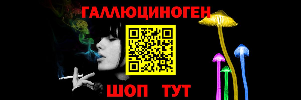 Городец  Галлюциногенные грибы прущие грибы  Вход с VPN 