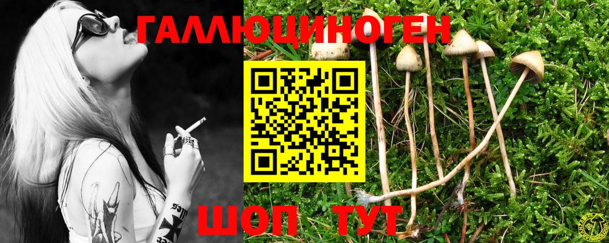 Галлюциногенные грибы мухоморы Городец
