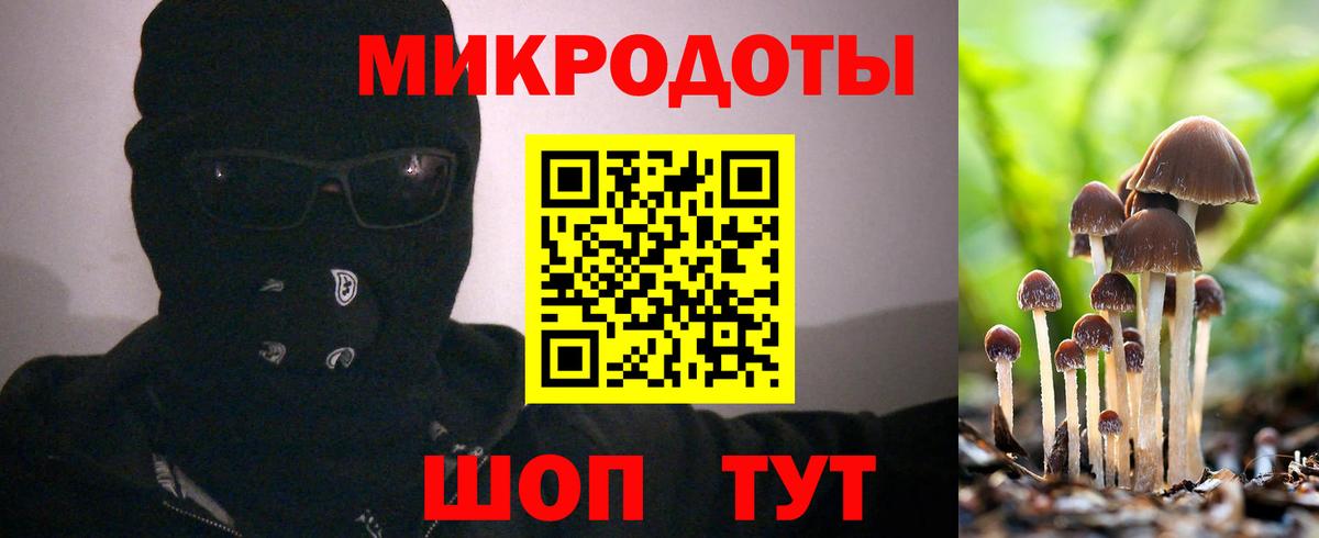 Галлюциногенные грибы Magic Shrooms Городец